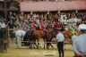 Palio 16 agosto 2019: la fotogallery della Prima Prova